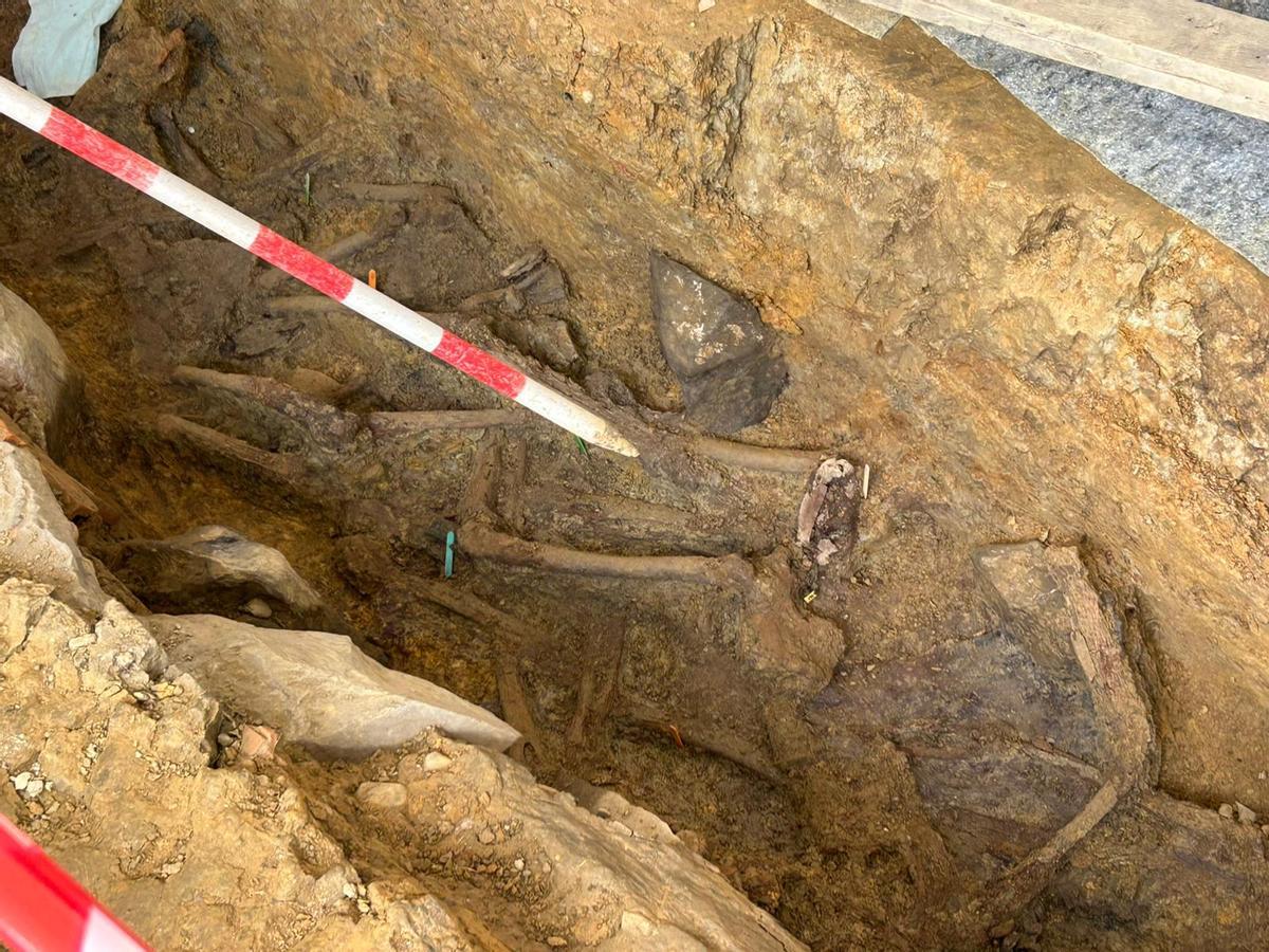 EN IMÁGENES: Así avanzan los trabajos de exhumación en la fosa común de La Lloba, en Castrillón