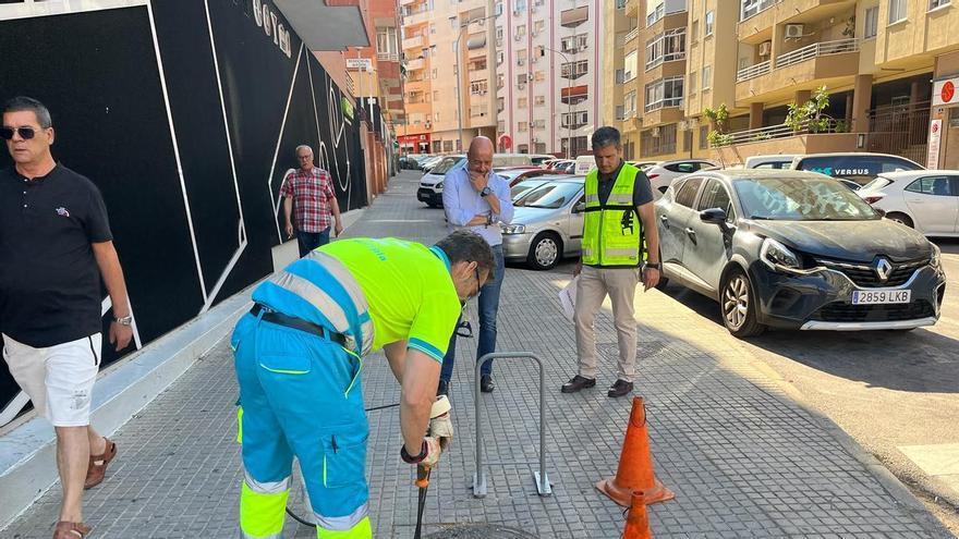 Vídeo | Plan de choque contra cucarachas y ratas con la llegada del calor a Cáceres