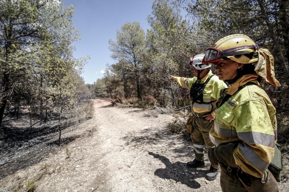 Incendio en La Torre de les Maçanes