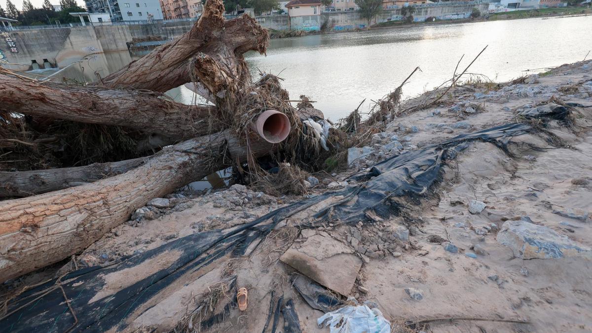 El Azud del Repartiment, en Quart de Poblet, estaba colmatado de residuos y sedimentos de la dana a finales de noviembre.