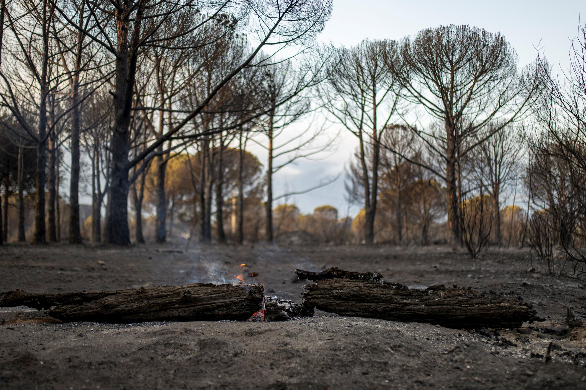 L'incendi de la Catalunya nord, en imatges