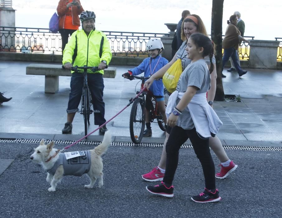 Daniel Bargiella se proclamó ganador de una carrera que llenó Vigo de humanidad