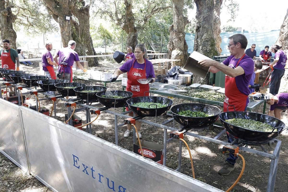 Padrón se rinde al pimiento de Herbón: 3.000 raciones para una fiesta multitudinaria Padrón se rinde al pimiento de Herbón: 3.000 raciones para una fiesta multitudinaria
