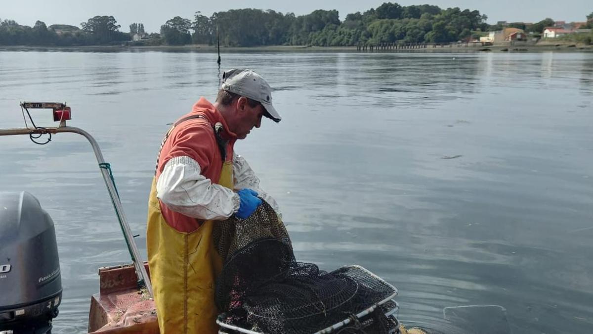 Pesca de anguila en el río Ulla.