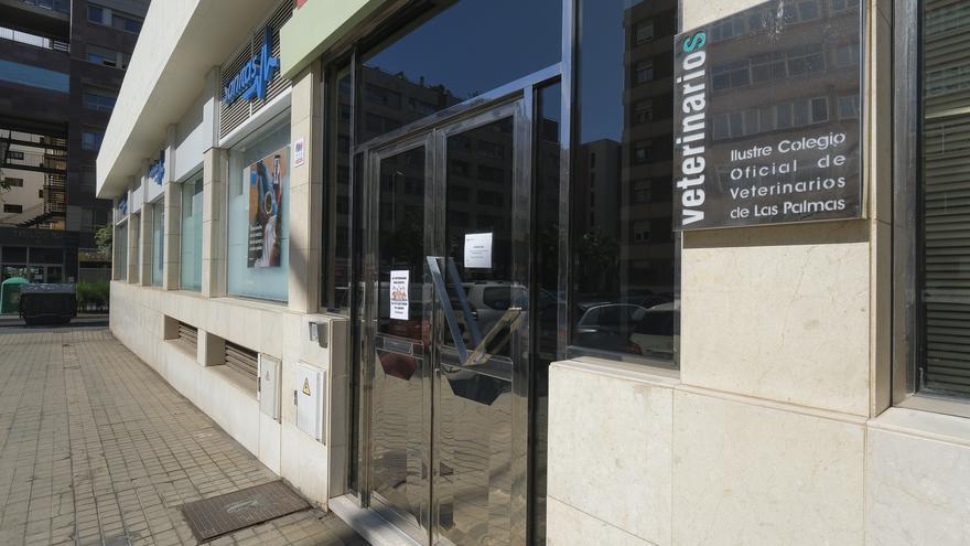 Los veterinarios de Las Palmas piden retrasar el uso de ‘Presvet’