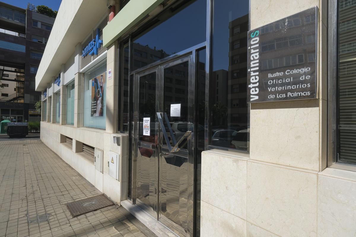 La sede del Colegio Oficial de Veterinarios de Las Palmas, este martes, durante el cierre reivindicativo.