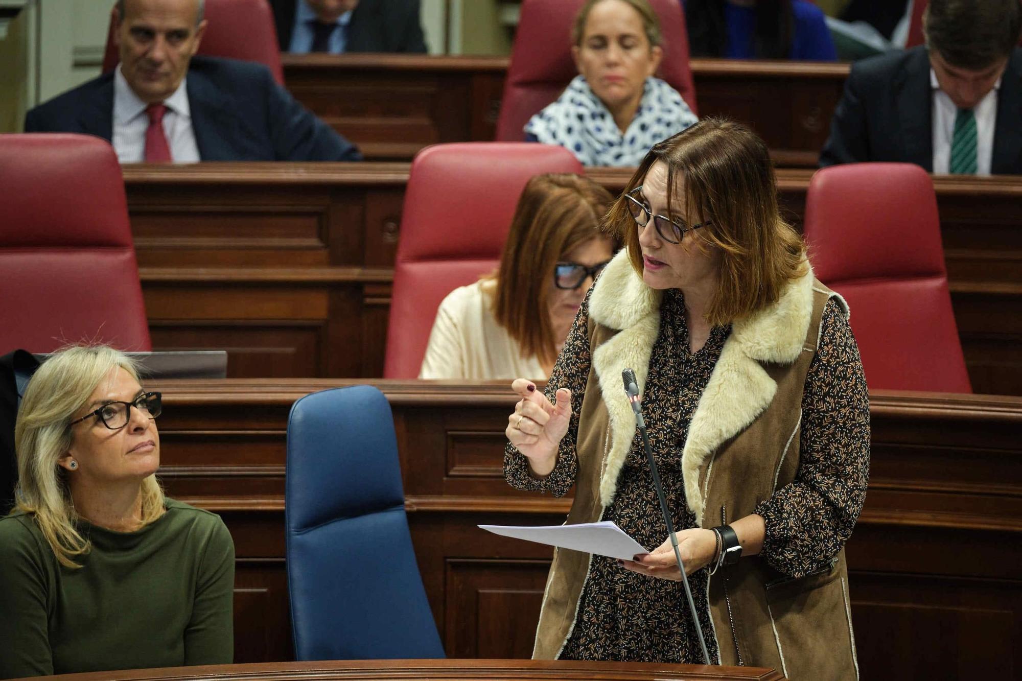 Pleno del Parlamento de Canarias (07/11/2023)