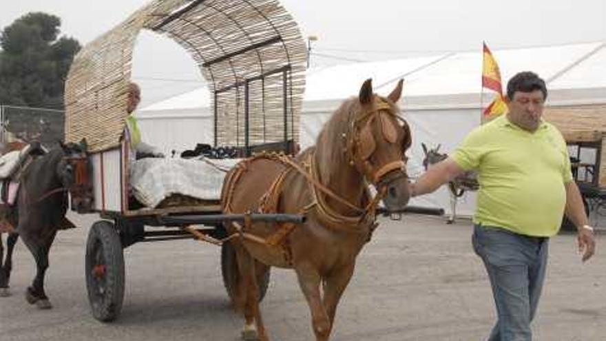 Caravana en defensa del burro