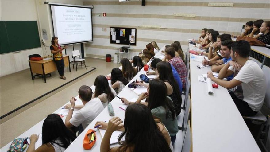 Los estudiantes cordobeses, entre los que más eligen su carrera por vocación