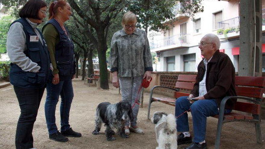 Dues agents de civisme parlant amb dos propietaris de gossos