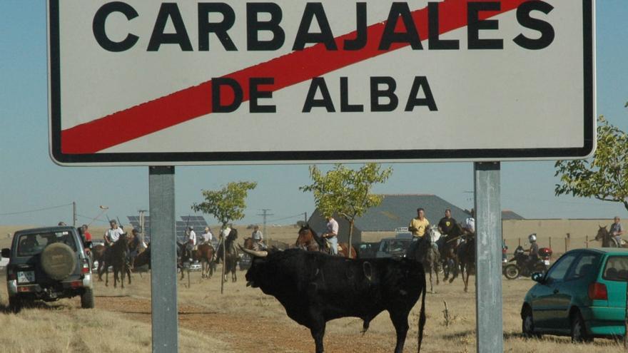 Carbajales revivirá los días 8 y 10 de septiembre los espantos con ocho toros bravos y doce bueyes