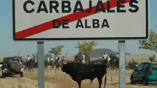 Carbajales revivirá los días 8 y 10 de septiembre los espantos con ocho toros bravos y doce bueyes