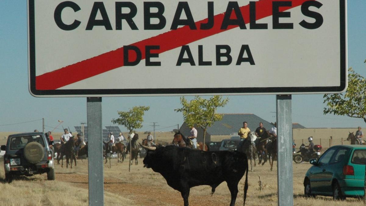 Uno de los espantos de toros del año pasado en Carbajales de Alba.