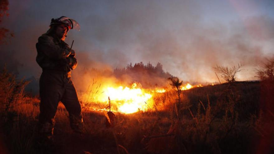 Un brigadista trabaja en la extinción de un incendio. | BERNABÉ/GUTIER