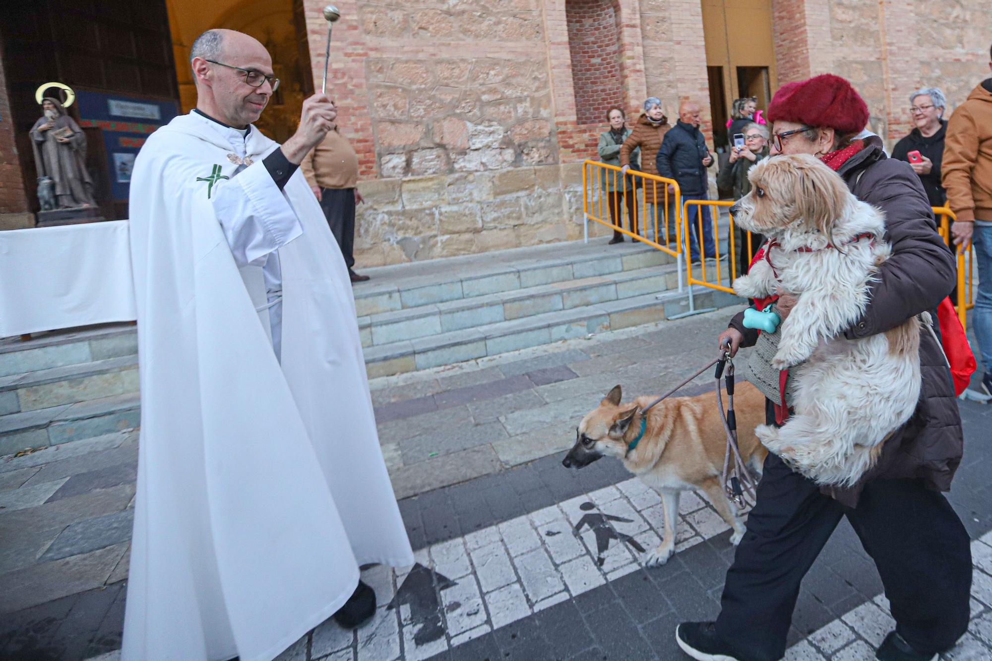 Bendición de San Antón en Torrevieja