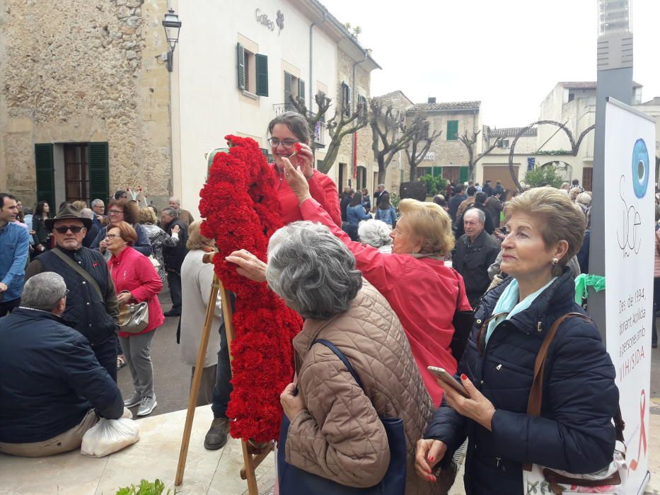 Verregnetes Blumenfest in Costitx