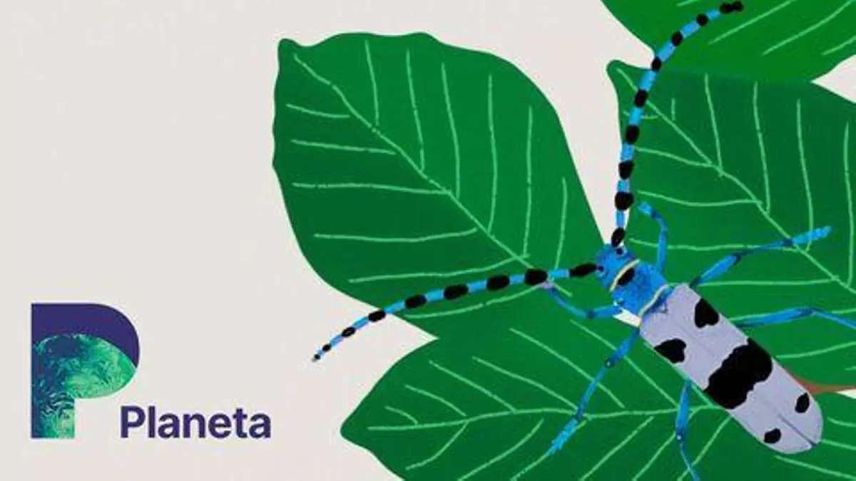 Las 112 especies amenazadas en Catalunya deberán esperar a 2025
