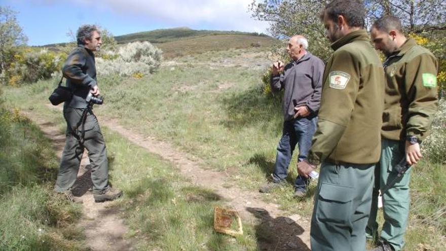 El apicultor Isidro Bordel explica a los agentes medioambientales, ante un cuadro medio comido por el oso, los estragos ocasionados por el plantígrado en el colmenar.