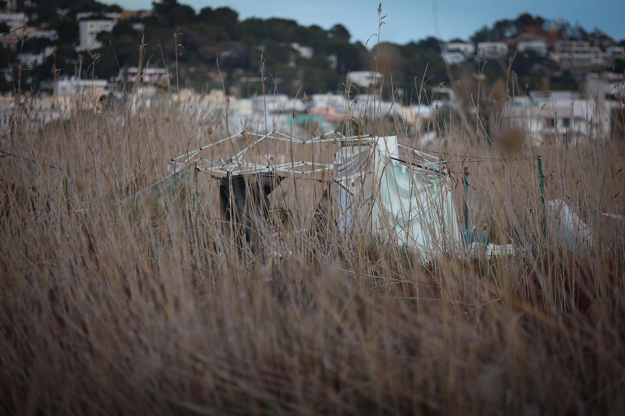 Esta es la situación actual de ses Feixes, en Ibiza