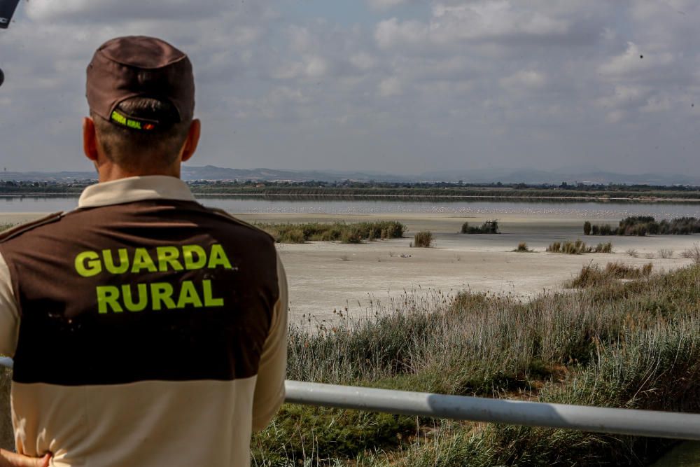 Lucha en El Hondo contra la invasión de la carpa