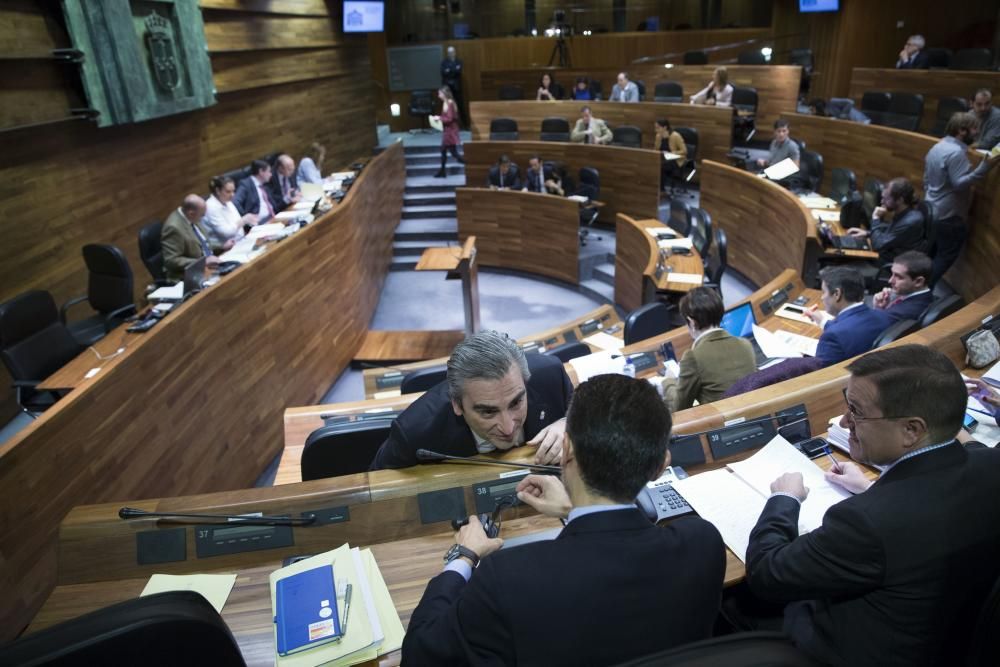 Pleno de la Junta General del Principado