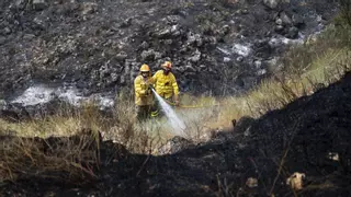Estabilizado el incendio forestal de Garrovillas de Alconetar tras aproximarse las llamas a la N-630