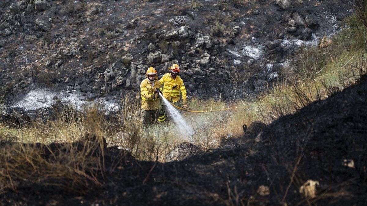 Bomberos forestales en el incendio de Garrovillas de Alconetar.