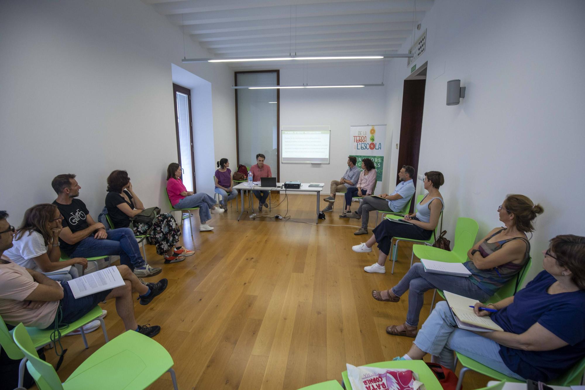 Comedores escolares en Mallorca: Frente común por un servicio de calidad y educativo