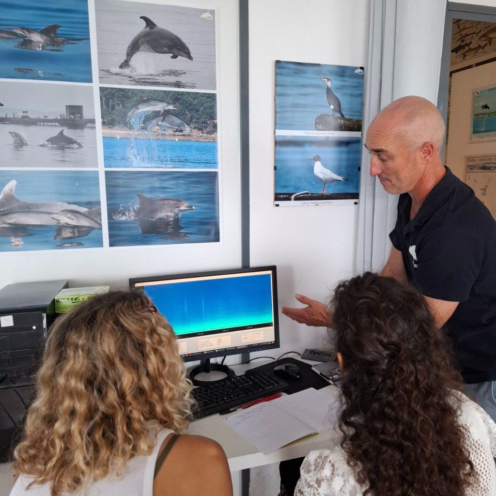 Biólogos, doctores y estudiantes del BDRI hacen un estrecho seguimiento de los mamíferos marinos en las rías de Vigo, Pontevedra y Arousa.