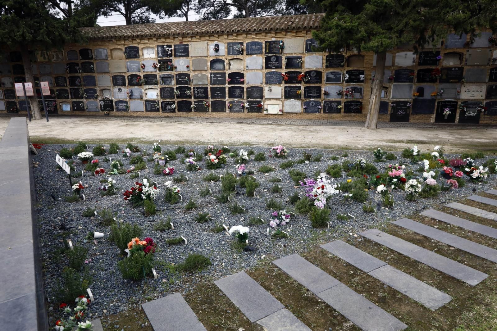 En imágenes | El cementerio de Zaragoza, un museo al aire libre que se engalana para el Día de Todos los Santos