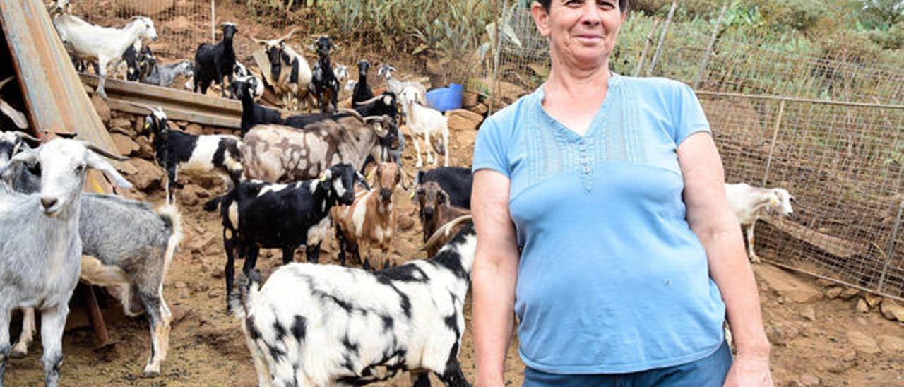 Julia Martel, ayer, con algunas de sus cabras en Cazadores.