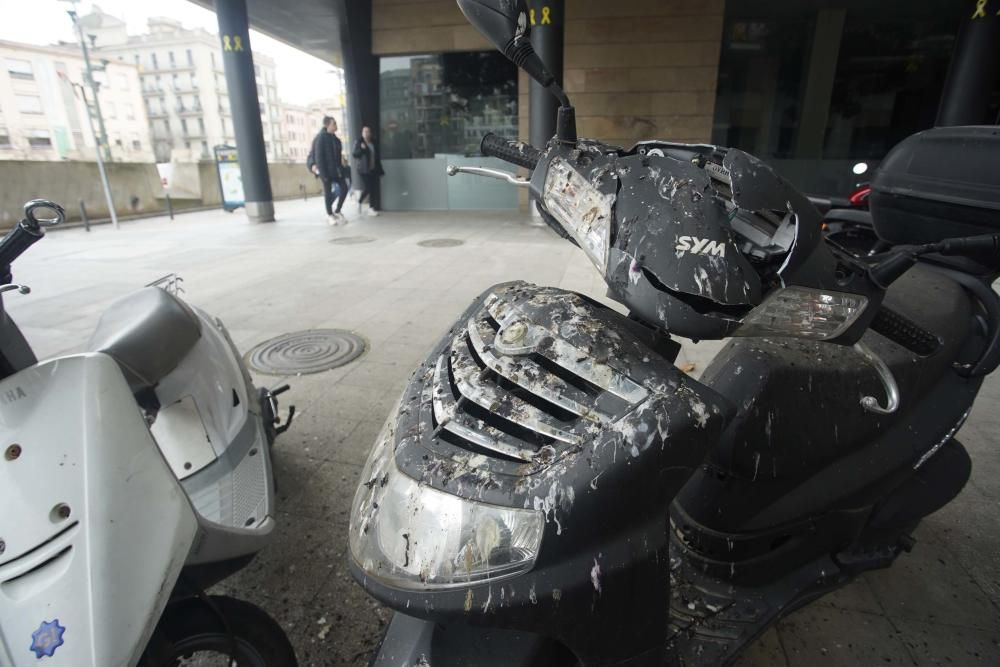 Excrements d'ocells al carrer Cristòfol Grober