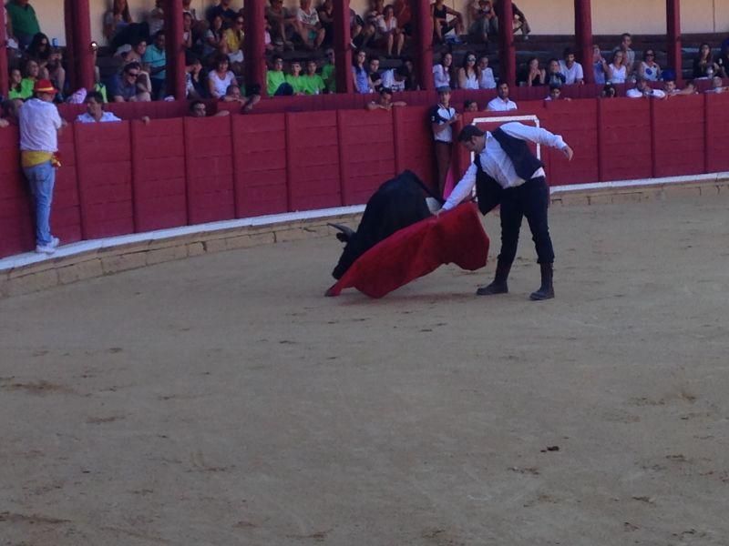 Fiestas en Toro | Becerrada de las peñas