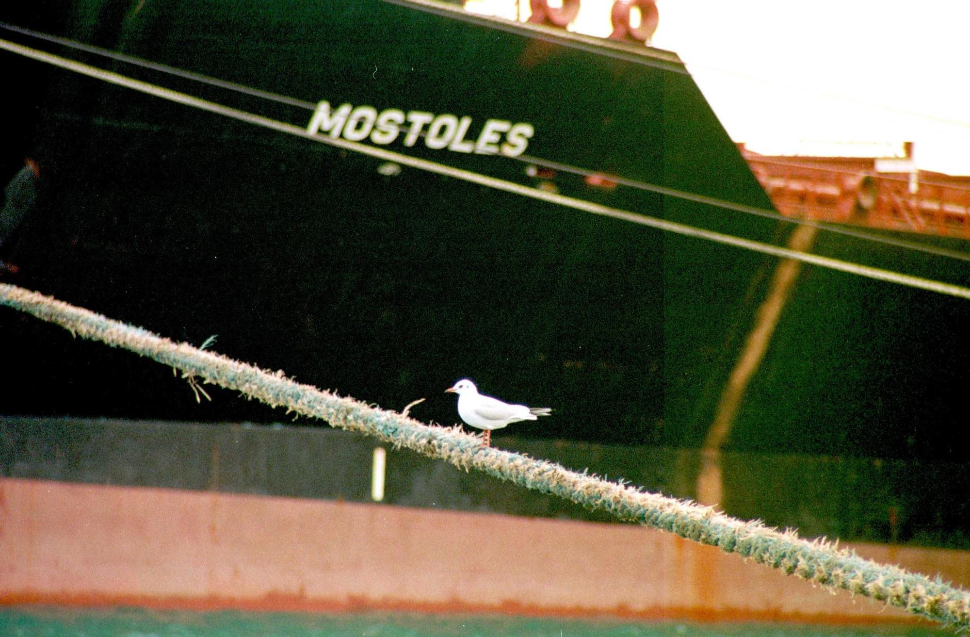 Así fue la legadade agua en Barcos a Mallorca.