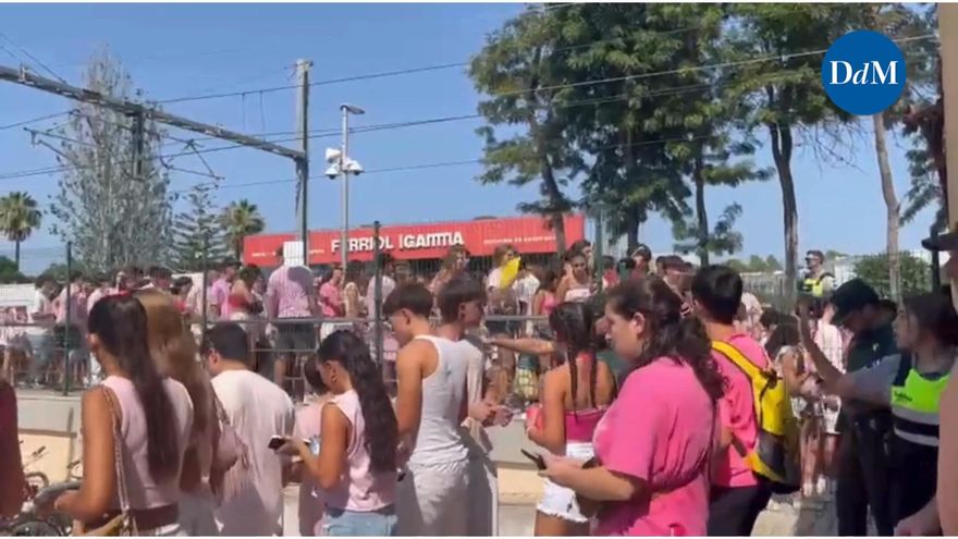 Un rayo impacta en una palmera en sa Vileta