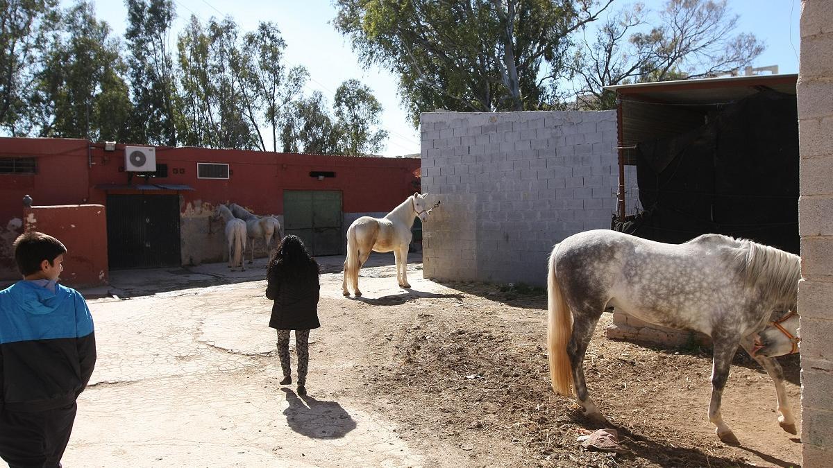 Las caballerizas en 2015