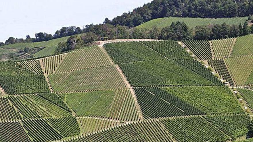 Zona agrícola a Baden-Württemberg, Alemanya