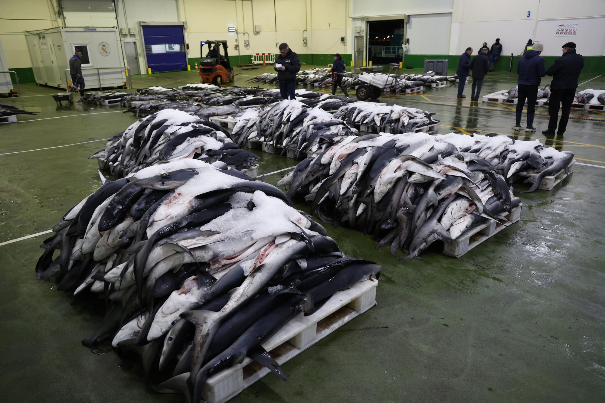 Barcos portugueses recurren a la lonja de Vigo para vender tintoreras y pez espada