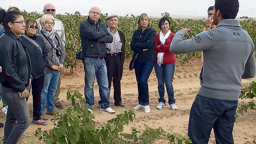 Turistas escuchan las explicaciones de un bodeguero durante una visita a viñedos de la DO. Foto