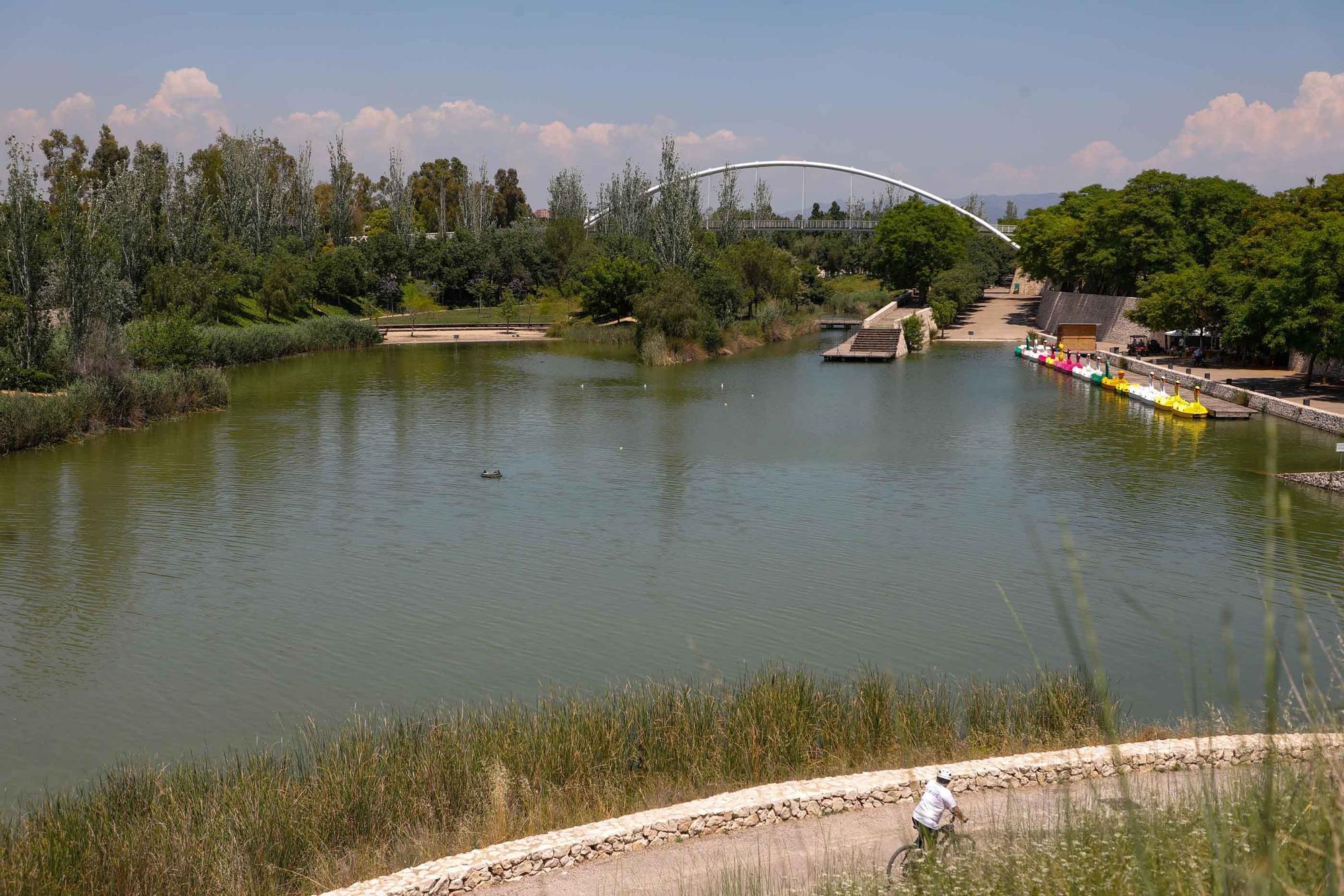 Parque de Cabecera, uno de los pulmones de València