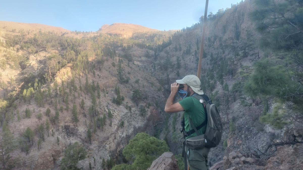 Un cazador en plena jornada de control del muflón