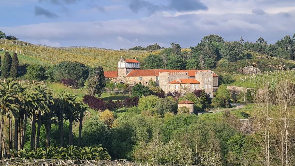 Los viñedos de Pazo Baión, en la actualidad.