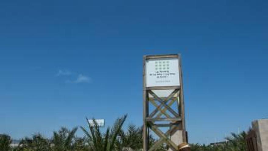 El Jardín de los Niños y las Niñas de Elche, con palmeras dedicadas a los recién nacidos.