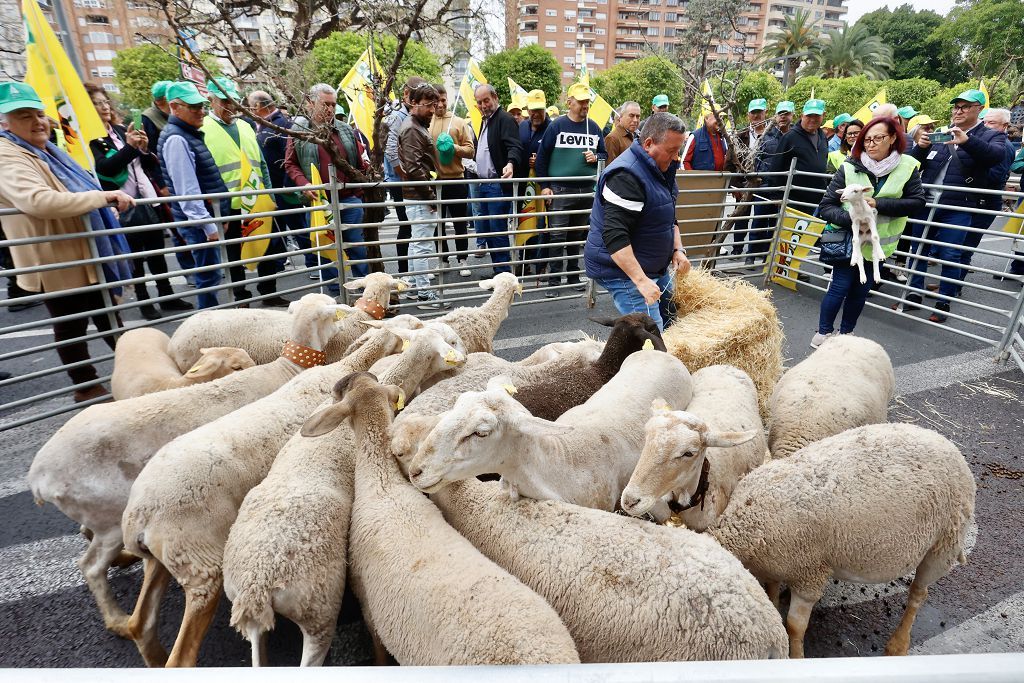 Medio millas de agricultores y ganaderos protestan en Teniente Flomesta