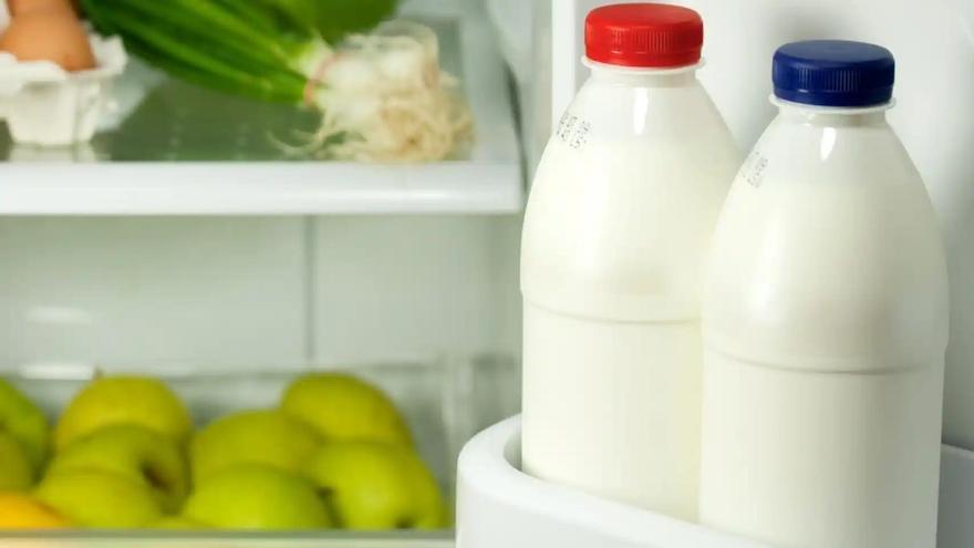 Los expertos advierten: tienes que dejar de guardar la leche en la puerta de la nevera