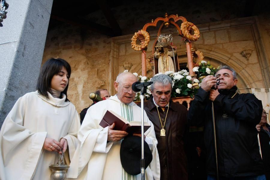 Los perros gobiernan por san Antón en Zamora