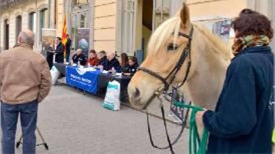 Una imatge de l&#039;acte de presentació oficial de la prova.