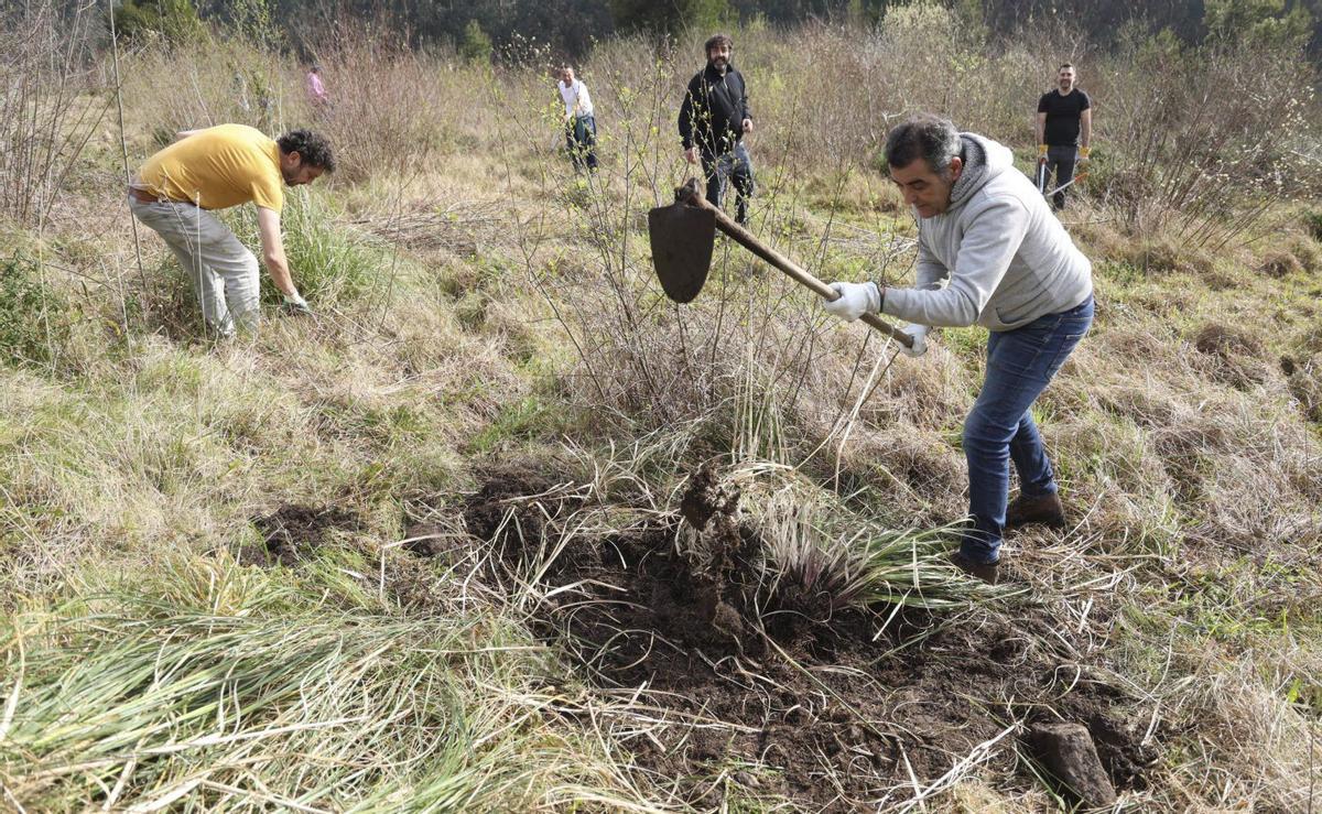 Las siete hectáreas del bosque-escuela tendrán cerca de un millar de árboles en el futuro. | NOÉ PARGA