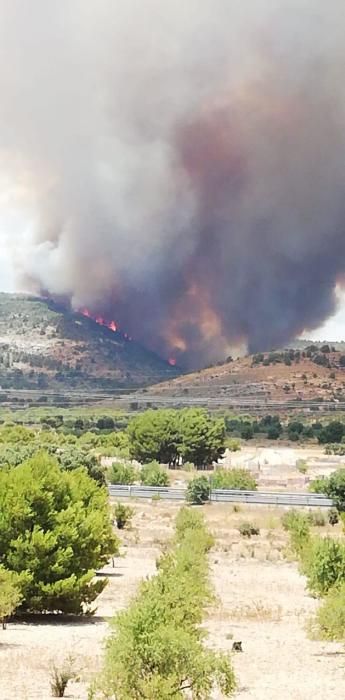 Cinco dotaciones de bomberos, tres unidades de bomberos forestales, siete medios aéreos y unos 40 efectivos terrestres tratan de contener el fuego