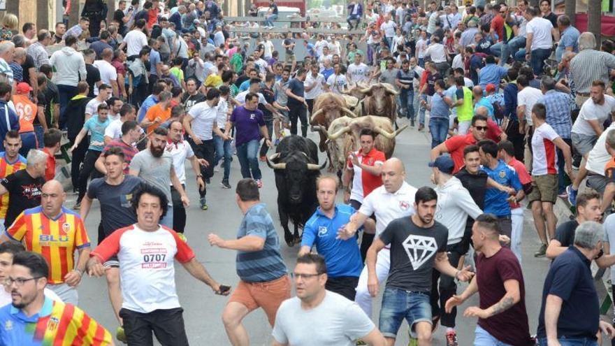 Un trepidante encierro arranca los actos taurinos de Sant Pasqual